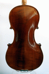 Back view
