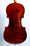 Back view