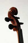 Scroll view