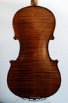 Back view