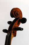 Scroll view