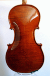 Back view