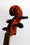 Scroll view