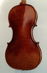 Back view