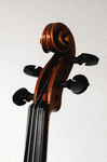 Scroll view